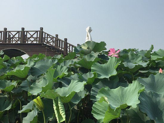 Pondoflotus Wetland Park